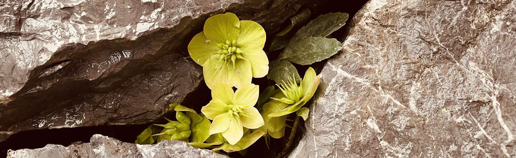 Riba67 Ferienwohnung Lindau Bodensee